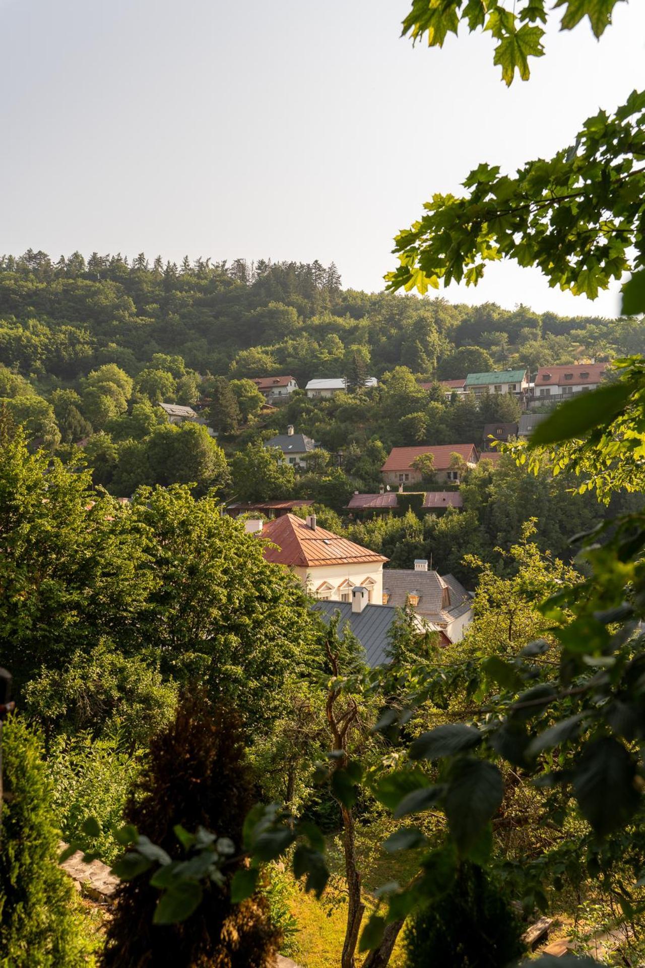 Penzion Prijemny Oddych Banská Štiavnica Buitenkant foto